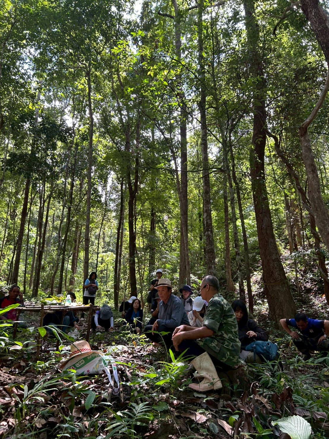 ป่าแม่นาป้าก: ป่าชุมชนและการจัดการไฟดีจนต้องอวด