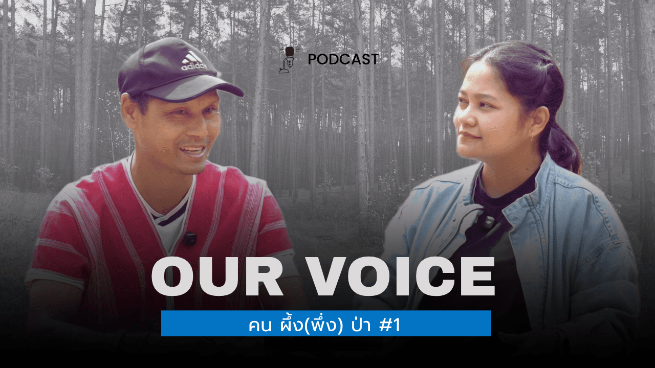OUR VOICE PODCAST คน ผึ้ง(พึ่ง) ป่า