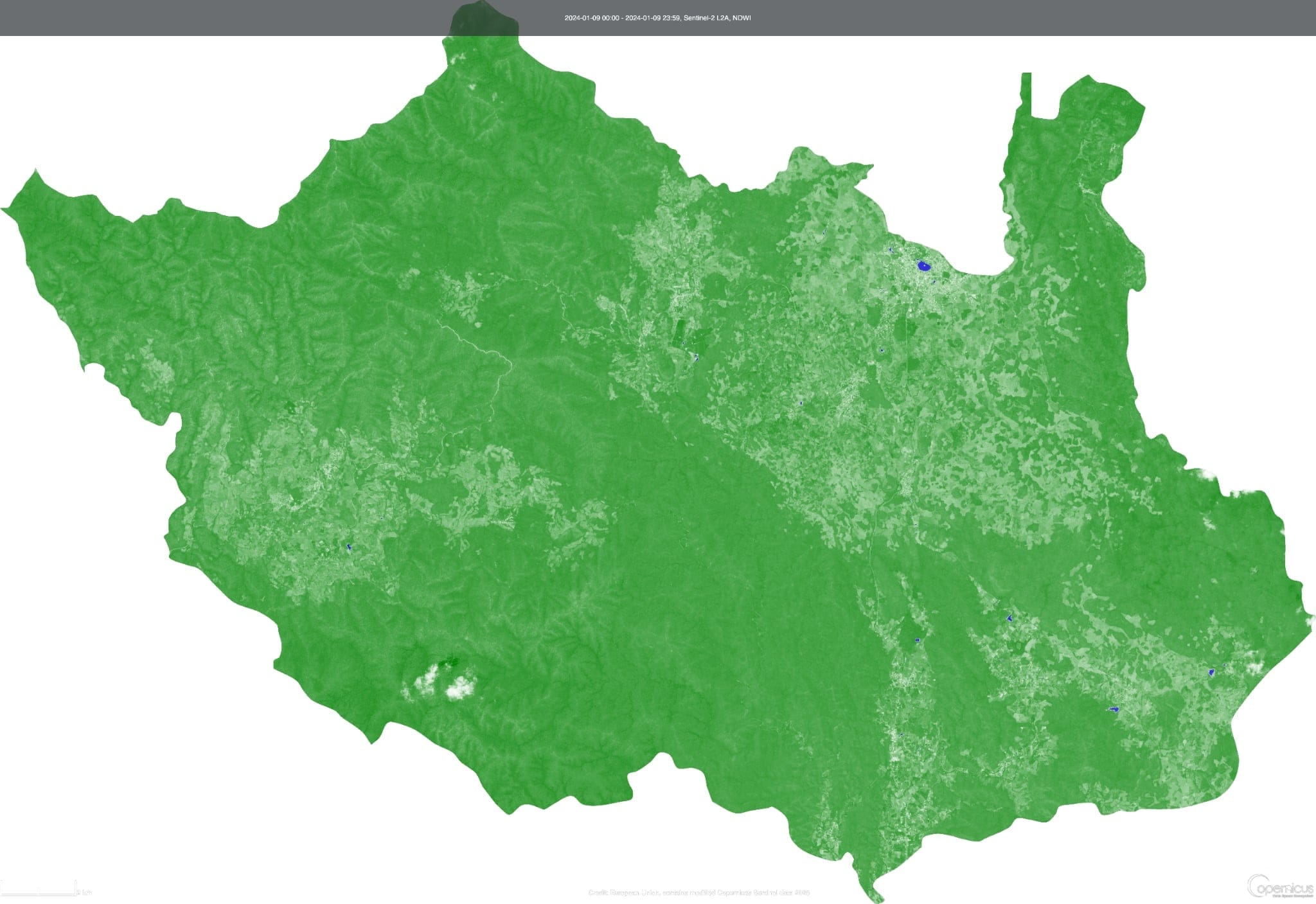 Left Image